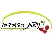 ניצת הדובדבן בטבריה