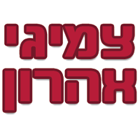 צמיגי אהרון בירושלים צמיגי אהרון בירושלים
