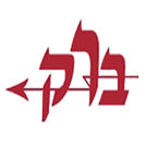 לוגו של ברק - רואים שזה מבריק ברק - רואים שזה מבריק - תמונת לוגו