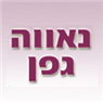 גפן נאווה בהרצליה גפן נאווה בהרצליה