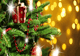 מה ההבדל בין יולקה לעץ אשוח של חג המולד?  - תמונת המחשה