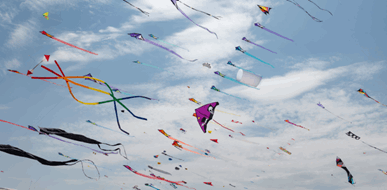 אטרקציות ללא תשלום בחול המועד פסח 2025 - תמונת המחשה