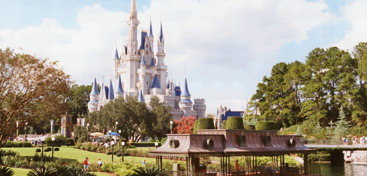 דיסניוורלד בפלורידה. צילום שאטרסטוק דיסניוורלד בפלורידה. צילום שאטרסטוק