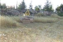 שילוט לאנדרטאות