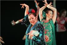 תמונה שצולמה להמחשת העבודות של סילביה דוראן סטודיו לפלמנקו - 3 לימוד פלמנקו