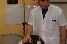 תמונה שצולמה להמחשת העבודות של מרכז וטרינרי לחיות בית פסיכולוגים לבעלי חיים