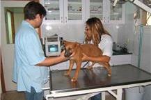 תמונה שצולמה להמחשת העבודות של מרכז וטרינרי לחיות בית ייעוץ בבניית בתי גידול