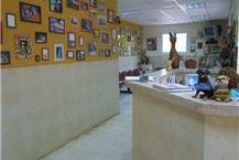 תמונה שצולמה להמחשת העבודות של מרכז וטרינרי לחיות בית מרפאה וטרינרית בפרדס חנה