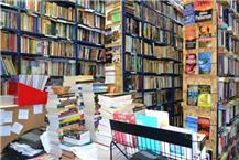 ספרות מקצועית