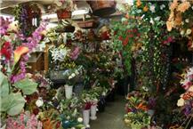 תמונה שצולמה להמחשת העבודות של פרחי ניצן - 3 חנות פרחים ברחובות