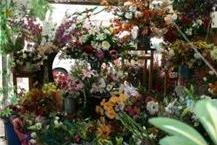 תמונה שצולמה להמחשת העבודות של פרחי ניצן - 2 זרי פרחים