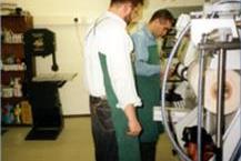 מבחר טיפולים ואביזרים אורתופדיים