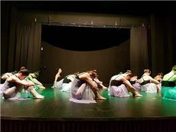 תמונה שצולמה להמחשת העבודות של ארנון לואיזה - סטודיו למחול - 2 לימודי ריקוד ותנועה לנוער