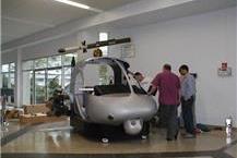 פיסול סביבתי מפיברגלס