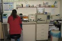 תמונה שצולמה להמחשת העבודות של מרפאה וטרינרית "כל חי" - 3 רפואת גורים