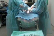 תמונה שצולמה להמחשת העבודות של מרפאה וטרינרית "כל חי" - 2 מרפאה וטרינרית ברחובות