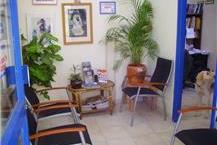 תמונה שצולמה להמחשת העבודות של נאות מרפא-ד"ר ירון מלכס - 2 חיסונים