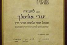 עו"ד דיני מקרקעין 