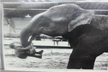 תמונה שצולמה להמחשת העבודות של ד"ר שטיינברגר אריק-רופא שיניים לילדים תמונה של ד"ר שטיינברגר אריק-רופא שיניים לילדים