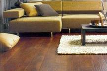 תמונה שצולמה להמחשת העבודות של שלמה בן שושן - 2 פרקטים איכותיים