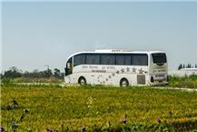 תמונה של מסיעי בן בע"מ