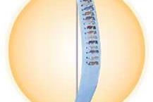 הקמת תערוכות