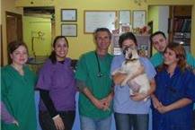 תמונה שצולמה להמחשת העבודות של "אני - וט" צוות המרפאה הוטרינרית