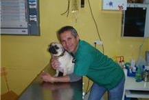 תמונה שצולמה להמחשת העבודות של "אני - וט" ד"ר אדי בן-סירא - וטרינר במרכז