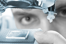 מעבדה לבדיקת מוצרים