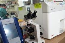 תמונה שצולמה להמחשת העבודות של ד"ר בודנקין עפר - 3 ציוד  לטיפול בחיות