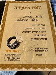 תמונה של שחף הובלות