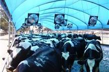 תמונה שצולמה להמחשת העבודות של גל -און מאווררים ושואבים בע"מ מאווררים תעשייתים