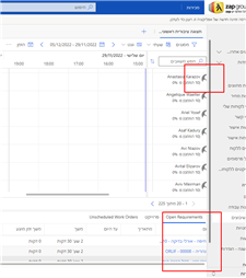 תמונה של דקל הגינה היפה!