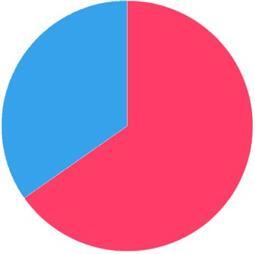 תמונה של דקל הגינה היפה!