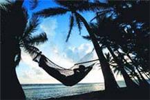 תמונה של סיגנל טורס בע"מ