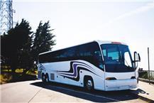 תמונה של גלגלי בית שאן בע"מ