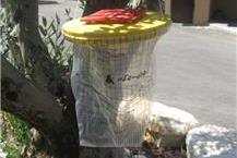 תמונה שצולמה להמחשת העבודות של רגב הדברת מזיקים בע"מ הדברת פרעושים