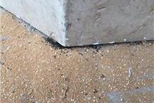 תמונה שצולמה להמחשת העבודות של רגב הדברת מזיקים בע"מ הדברה למוסדות