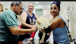 תמונה של ד"ר אמיתי אייל