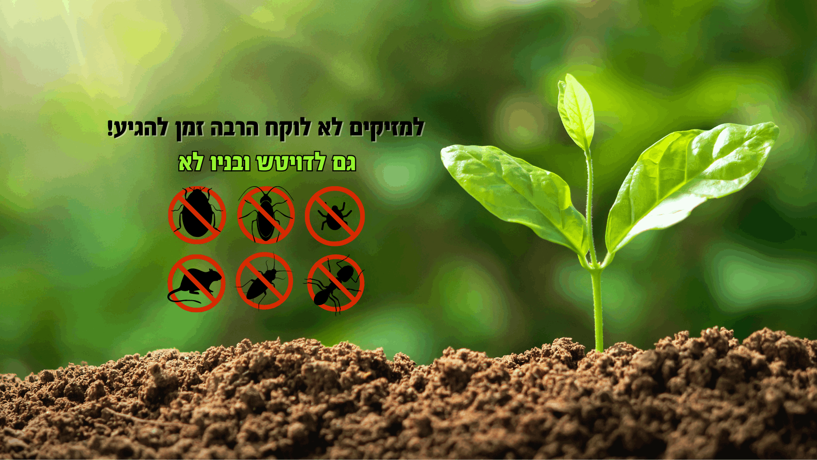 תמונה שצולמה להמחשת העבודות של דויטש ובניו מדבירים מקצועיים בע"מ תמונה של דויטש ובניו מדבירים מקצועיים בע"מ