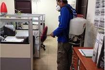 הדברת מזיקים