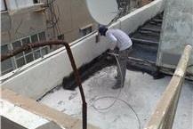 תמונה של אביב גבהים