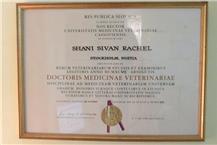 תעודת וטרינריה