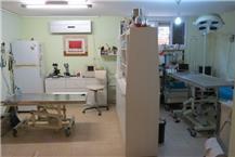 תמונה שצולמה להמחשת העבודות של ד"ר סיון שני - 1 מרפאת חיות