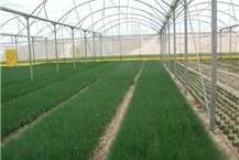 שירותי שמאות מקרקעין בבני ראם 