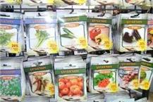 תמונה שצולמה להמחשת העבודות של כל- בו טכני "הגר" בע"מ - 3 זרעים לגינה