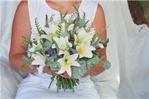 זרים וקישוטי רכב