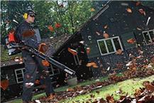 תמונה של ע.מ שיווק והפצה