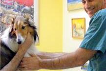 ד"ר צבי פליישמן - וטרינר