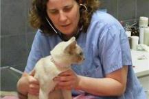 ד"ר תמר בן צבי - וטרינרית